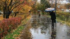 بارش رگباری باران و کاهش دما در گیلان بارش رگباری باران و کاهش دما در گیلان