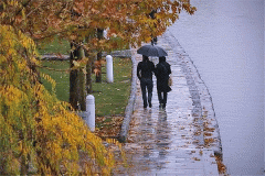 رفت و برگشت هوای آفتابی در نیمه پاییز گیلان رفت و برگشت هوای آفتابی در نیمه پاییز گیلان