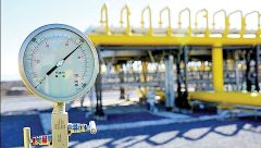 صنعت قربانی ناترازی شد صنعت قربانی ناترازی شد