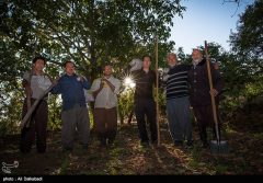 مونتاژ «۳۶۰ درجه» شبیه «گناهکاران» است مونتاژ «۳۶۰ درجه» شبیه «گناهکاران» است