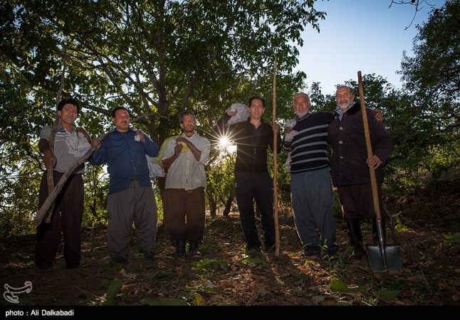 مونتاژ «۳۶۰ درجه» شبیه «گناهکاران» است مونتاژ «۳۶۰ درجه» شبیه «گناهکاران» است