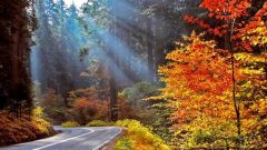 پایداری هوا و افزایش دما در گیلان پایداری هوا و افزایش دما در گیلان