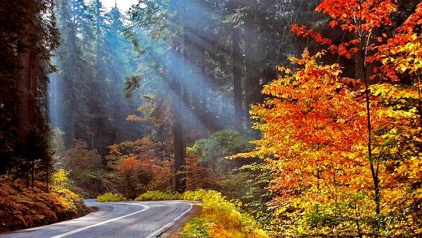 پایداری هوا و افزایش دما در گیلان