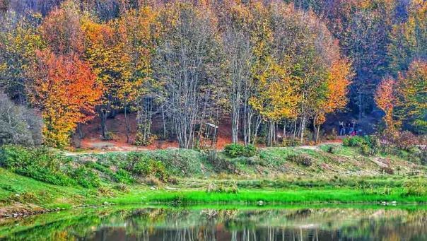 پایداری نسبی هوای گیلان