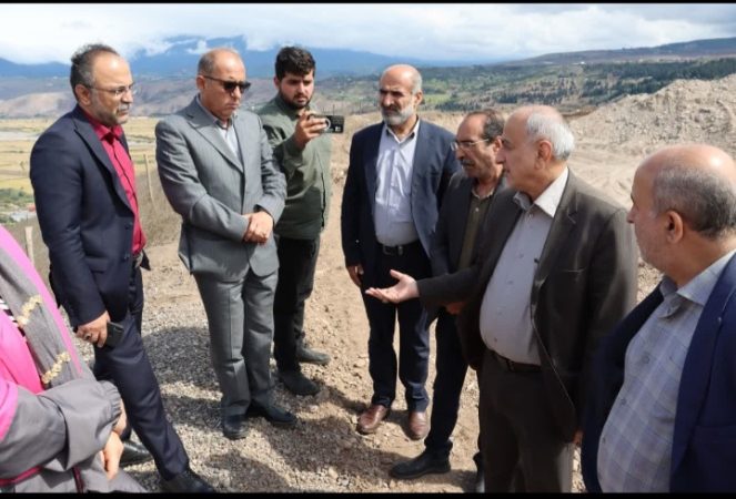 تحول با طعم زیتون! تحول با طعم زیتون!