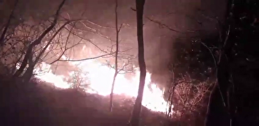 آتش سوزی در ۱۹ هکتار از جنگلها و عرصههای طبیعی گیلان آتش سوزی در ۱۹ هکتار از جنگلها و عرصههای طبیعی گیلان