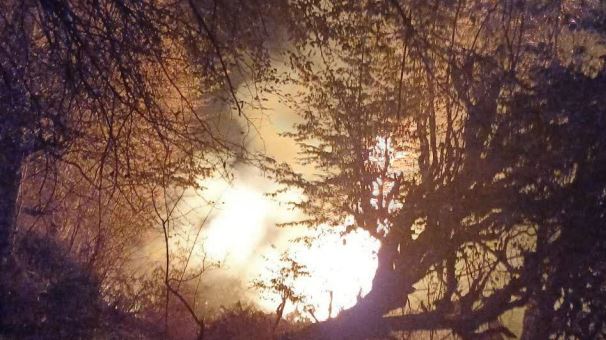 عرصه‌های جنگلی گیلان همچنان در حال سوختن