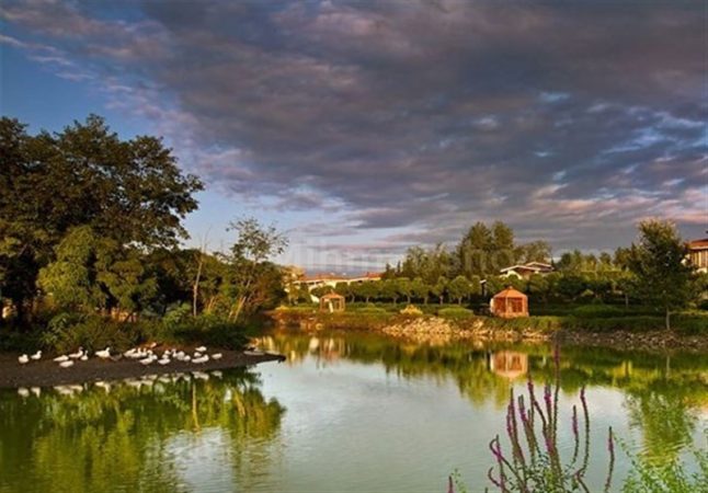 سند مالکیت تالاب بینالمللی عینک رشت صادر شد سند مالکیت تالاب بینالمللی عینک رشت صادر شد