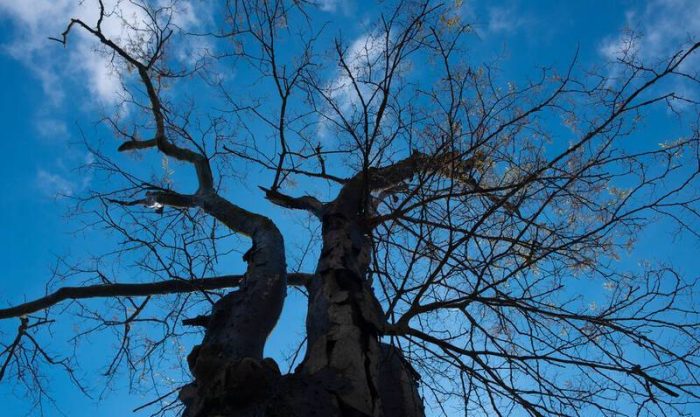 آسمان گیلان تا پایان هفته آفتابی