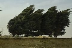 وزش باد جنوبی در گیلان/ احتمال آتش سوزی جنگل ها و مراتع