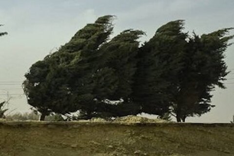 وزش باد جنوبی در گیلان/ احتمال آتش سوزی جنگل ها و مراتع وزش باد جنوبی در گیلان/ احتمال آتش سوزی جنگل ها و مراتع
