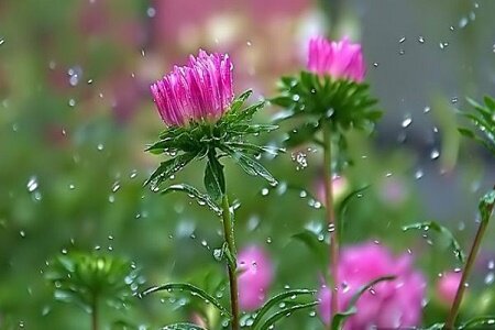 تداوم بارش‌ها در نوار شمالی کشور