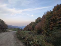 رخ نمایی پاییز در روز‌های آینده و خنکای هوا در راه گیلان