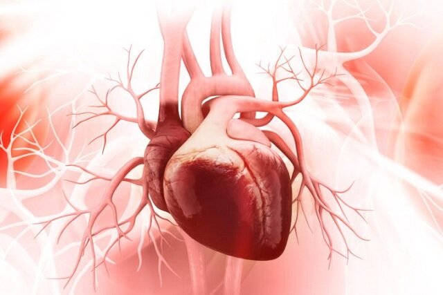 نقش "دیابت" در بروز بیماریهای قلبی و عروقی نقش “دیابت” در بروز بیماریهای قلبی و عروقی