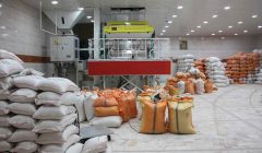 شالیکاران گیلانی ، تخلفات احتمالی شالیکوبی ها را گزارش کنند شالیکاران گیلانی ، تخلفات احتمالی شالیکوبی ها را گزارش کنند