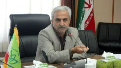 سرمایهگذاری کلان برای چایکاران و کارخانه ها سرمایهگذاری کلان برای چایکاران و کارخانه ها