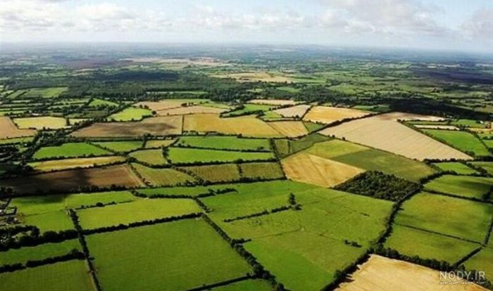 رفع تداخل اراضی کشاورزی گیلان امسال به اتمام می رسد رفع تداخل اراضی کشاورزی گیلان امسال به اتمام می رسد