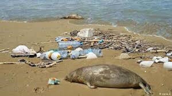 تهدیدی فراتر از نوسان تهدیدی فراتر از نوسان