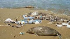 سرنوشت تصفیه خانه انزلی چه شد ؟ سرنوشت تصفیه خانه انزلی چه شد ؟