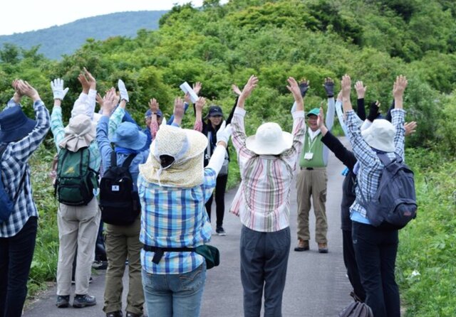جای خالی «فرهنگ هانسی» در ایران جای خالی «فرهنگ هانسی» در ایران